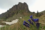 82 Vista sulla rocciosa Mencucca